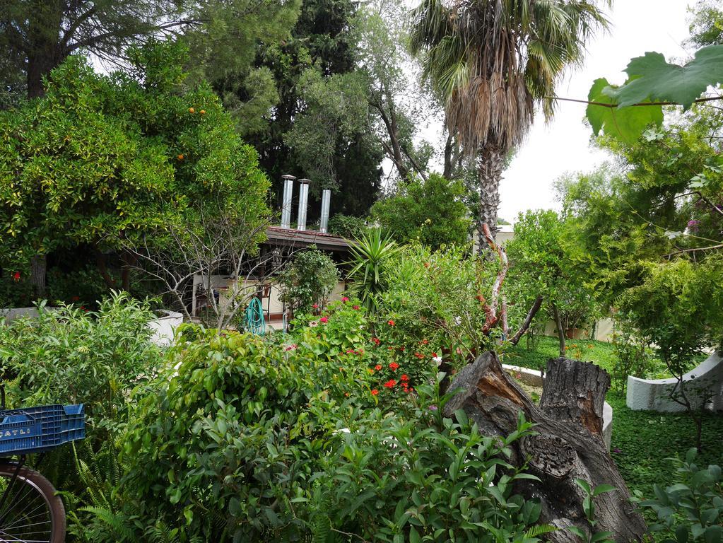 Longhouse Inn Hotel Dalyan Kültér fotó